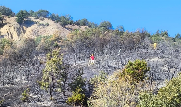 Amasya’da çıkan orman yangını söndürüldü