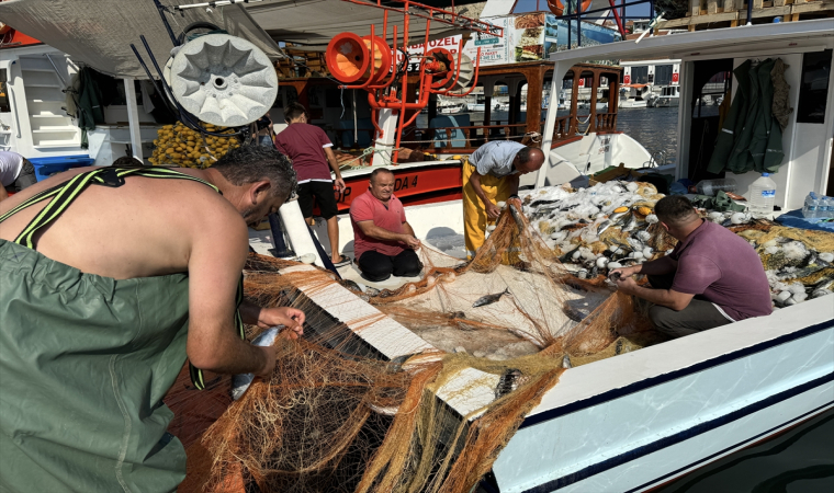 Sinop’ta, balıkçıklar ilk gün limana 500 kasa palamutla döndü