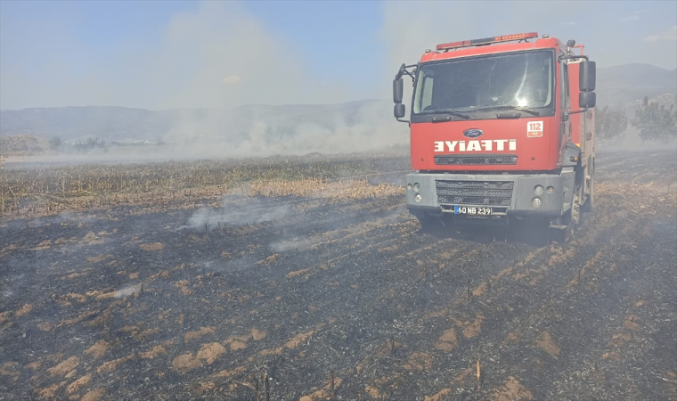 Tokat’ta çıkan anız yangınında 25 dönümlük alan zarar gördü