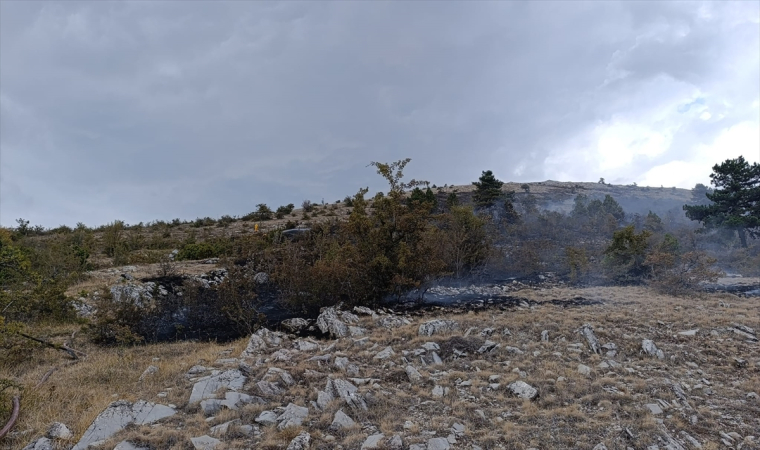 Bolu’da çıkan örtü yangını söndürüldü