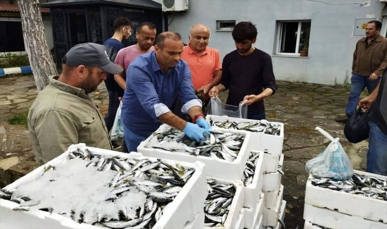 Kaçak yolla avlandığı belirlenen balıklar vatandaşlara ücretsiz dağıtıldı