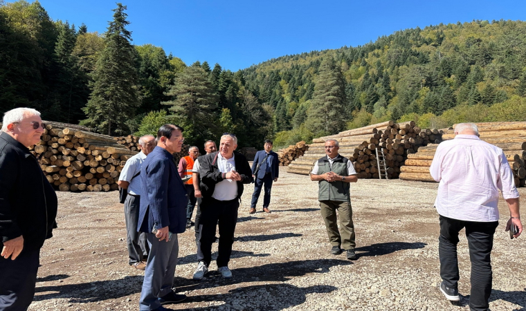 Güney Koreli ormancılar, Bolu’da incelemelerde bulundu