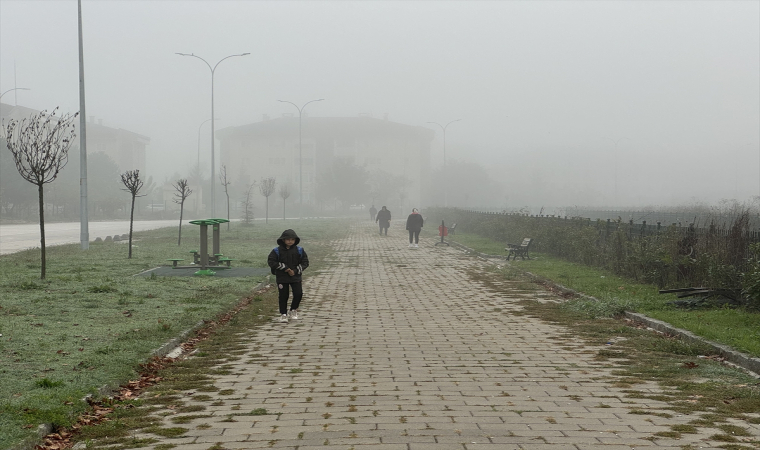 Düzce’de sis etkili oldu