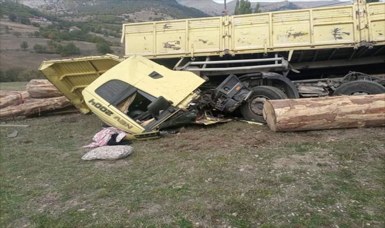 Giresun’da tomruk yüklü kamyon devrildi