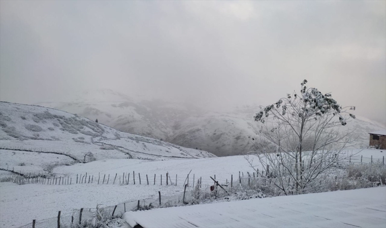 Karadeniz’de 5 ilde yüksek kesimlere kar düştü