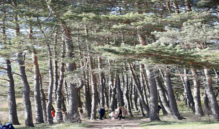 Bolu’daki turizm merkezleri ara tatilde misafirlerini ağırlıyor