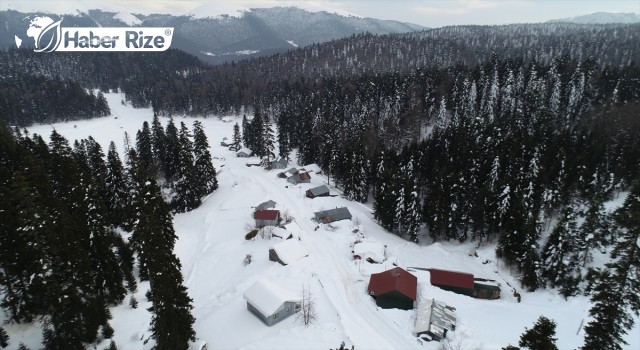 Aradığı huzuru yayla yaşamında buldu