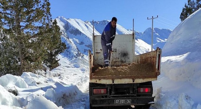 Gelesandra yolunda tuzlama çalışması