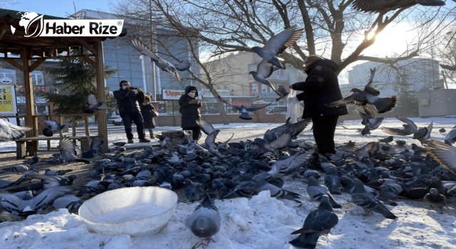 Kars, Ağrı ve Ardahan'da soğuk hava etkisini sürdürüyor