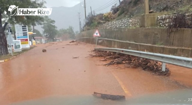 Marmaris'te sağanakta bazı iş yerlerini su bastı, ağaçlar devrildi