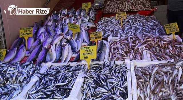 Samsun'da balık fiyatları