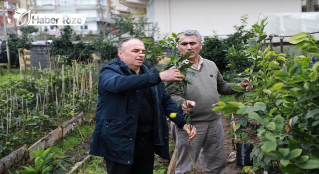 Ağaçlandırma çalışmalarına destek verecek