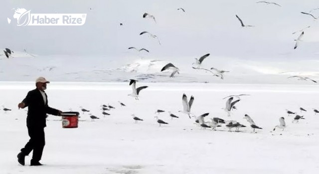 Buzla kaplı Gölü'nün martılarını balıkçılar ekmekle besliyor