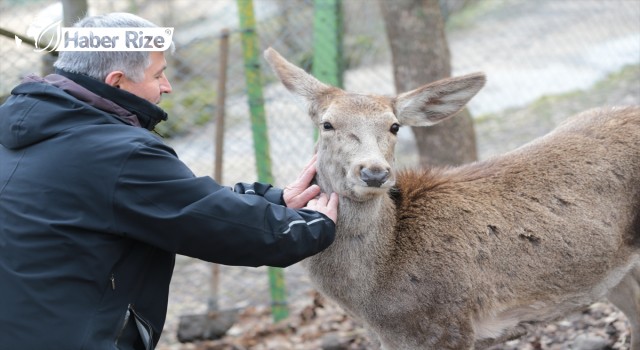 Doğasever turizmci, otelinin çevresini doğal yaşam alanına dönüştürdü