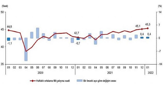 İşgücü İstatistikleri, Ocak 2022