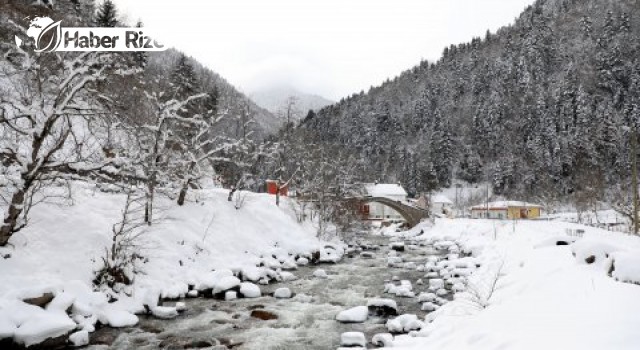 Karadeniz'de 254 yerleşim birimiyle ulaşım sağlanamıyor