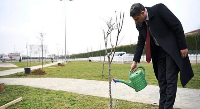 Kartepe’de Kiraz ve Vişne Yılı