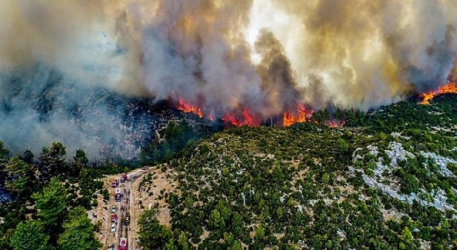 Ormanları Koruyacak Yeni Bir Orman Kanunu Gerekli