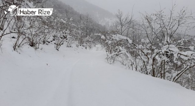 Trabzon'da kar yağışı nedeniyle eğitime yarın ara verildi