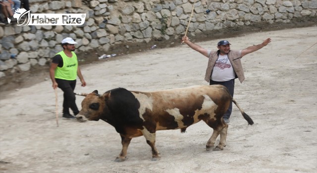 Çamlıhemşin Ayder Kültür, Sanat ve Doğa Festivali düzenlendi