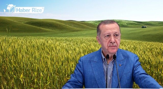 Cumhurbaşkanı Erdoğan, buğday ve arpa alım fiyatlarını açıkladı