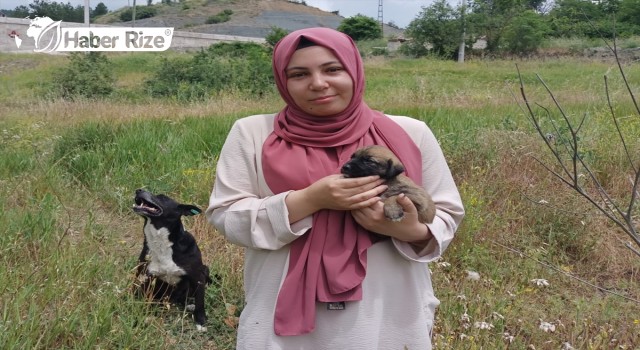 Sahipsiz hayvanların bakımını üstlenen öğretmen duyarlılığıyla örnek oluyor