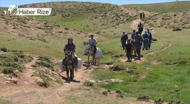 Berivanlar Hayvanlarını Sağmak İçin Her Gün Kilometrelerce Yol Kat Ediyor