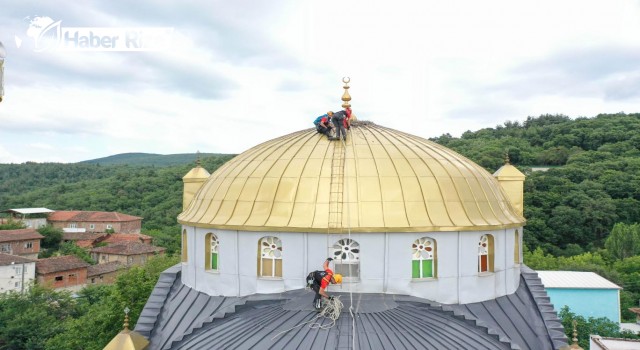 Cami Kubbesindeki Yuvadan Düşen Leylek Yavruları Kurtarıldı