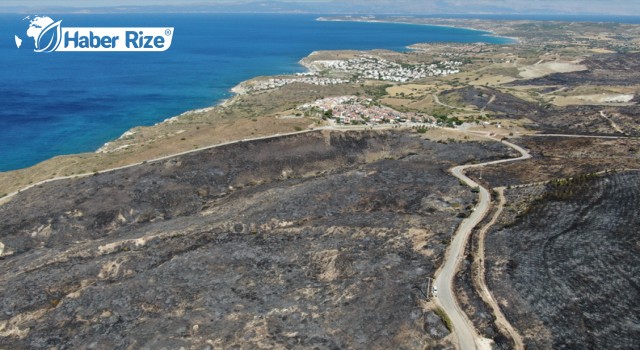 Çeşme'de Yanan Alanlar Havadan Görüntülendi