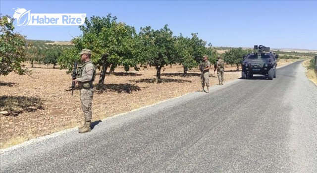 Hasat Dönemi Yaklaşan Antep Fıstığı İçin Koruma Tedbirleri Arttırıldı