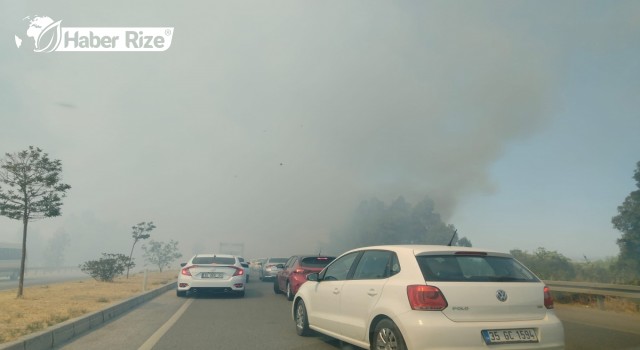 Söke'de araç yangını yol kenarındaki otlara sıçradı