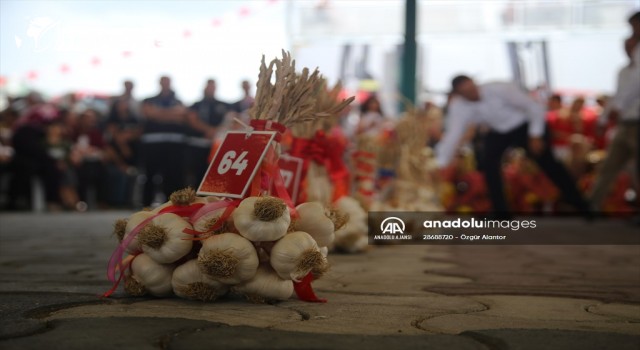 34. Uluslararası Taşköprü Kültür ve Sarımsak Festivali