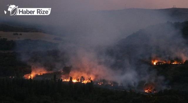 Bulgaristan'da çıkan orman yangınında alevler Edirne'den görülebiliyor