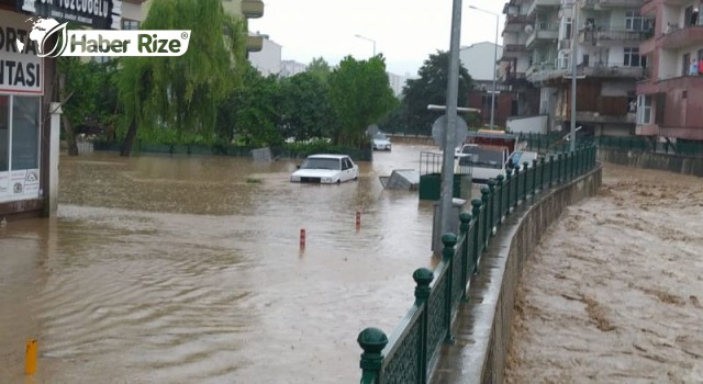 Düzce'de aşırı yağış, taşkına neden oldu