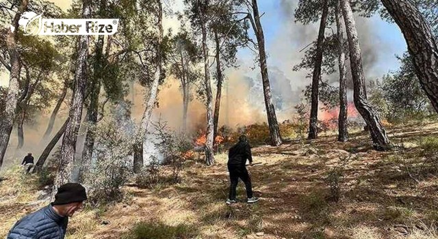 Göcek'te orman yangını