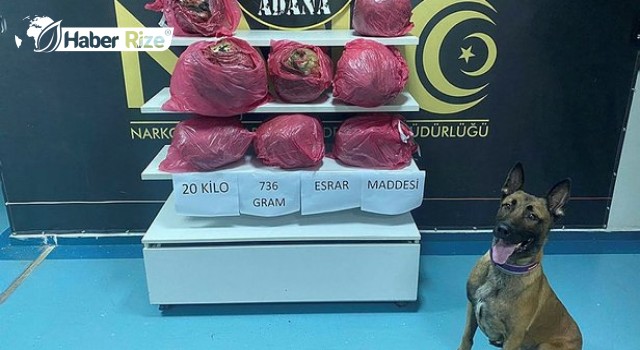 Minibüste 20 kilo 736 gram esrar ele geçirildi