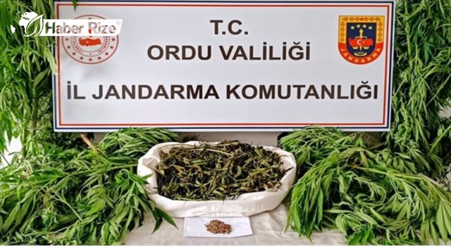 Ordu'da Uyuşturucu Operasyonunda 4 Kişi Yakalandı