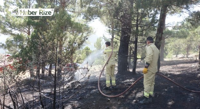 Örtü ve orman yangını kontrol altına alındı