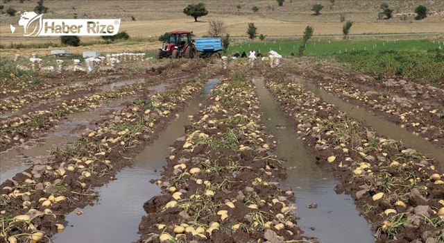 Sağanak bazı tarım arazilerine zarar verdi