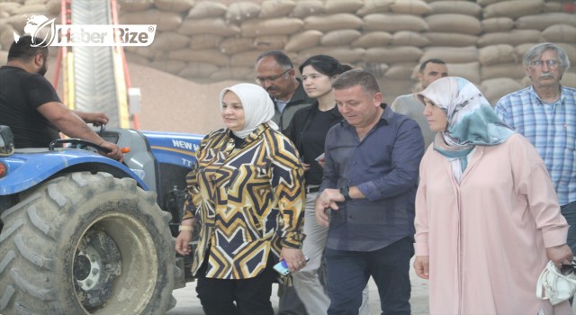 AK Parti Genel Merkez Kadın Kolları Başkanı Keşir, Düzce'de incelemelerde bulundu