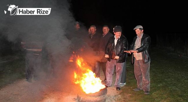 Arılarını ayılardan korumak için nöbette