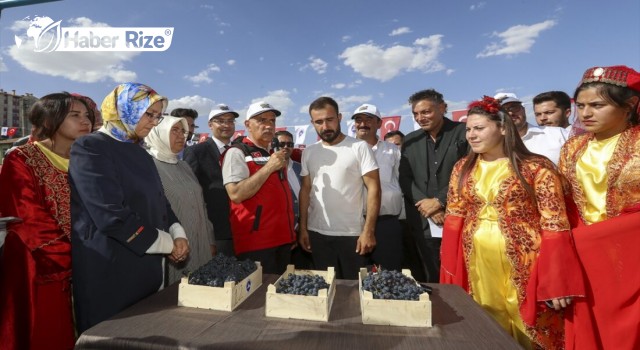 Kirişci, Kalecik Karası Üzüm Festivali'nde