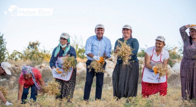 Belediye başkanı halkı tarıma yönlendiriyor