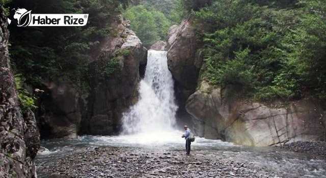 Doğa koruma platformu'ndan 'beton dereler istemiyoruz' kampanyası