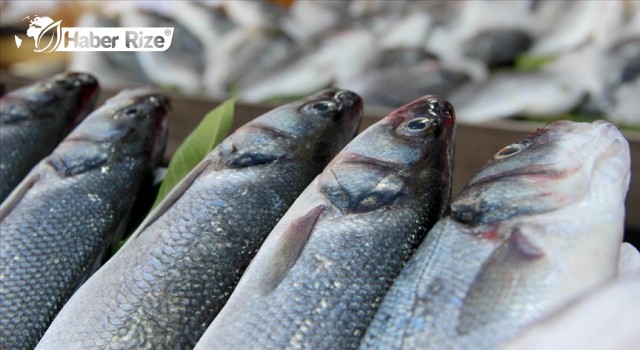 Doğu Karadeniz'de su ürünleri ihracatı yüzde 40 arttı