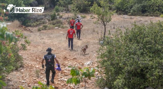 Kaybolan yaşlı adam için arama çalışması başlatıldı