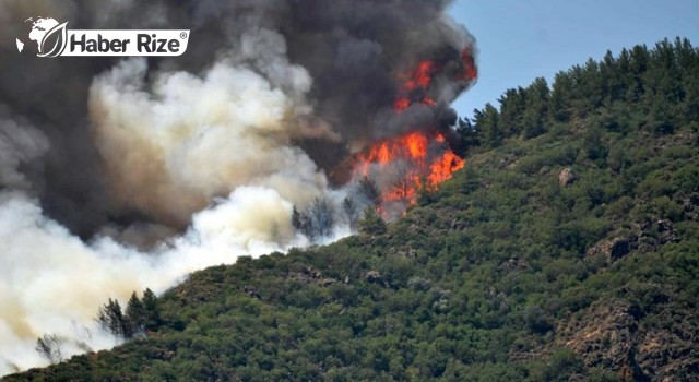 Orman yangınlarına bir yenisi daha