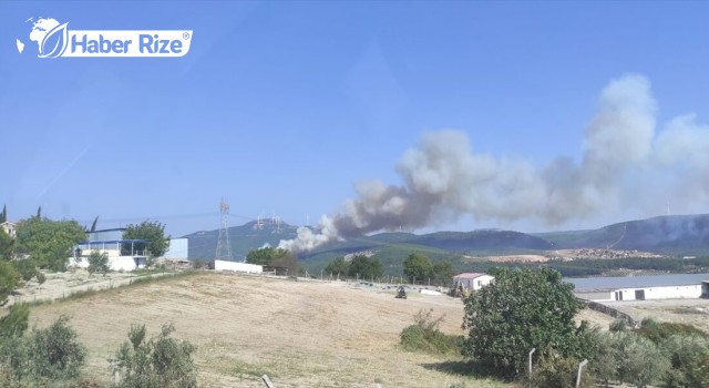 Soma'da bir orman yangını daha çıktı