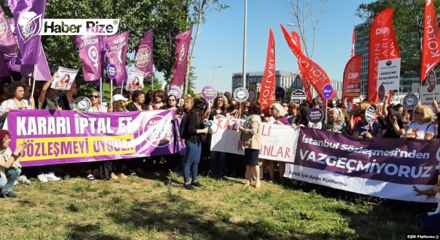 TTB, Danıştay’ın İstanbul Sözleşmesi kararını temyize taşıdı: Karar bozulmalı