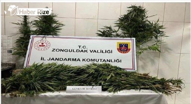 Uyuşturucu operasyonlarında 3 şüpheli gözaltına alındı